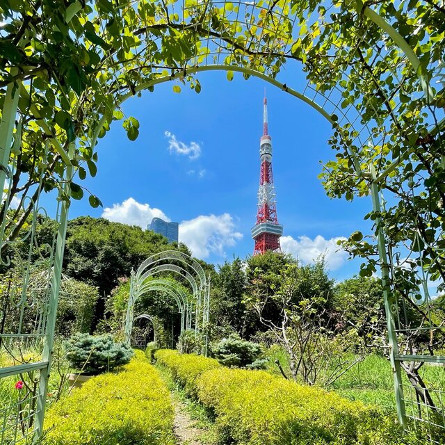#15 芝公園に住みたくなる50枚 104