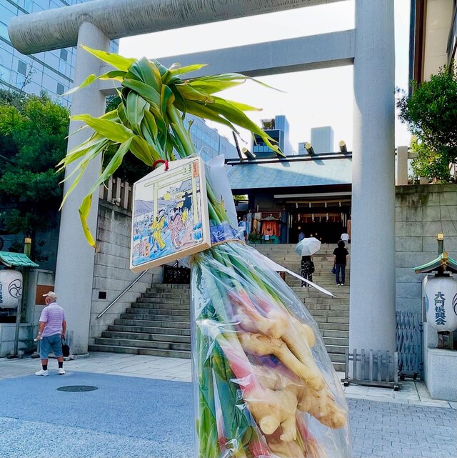 #15 芝公園に住みたくなる50枚 594