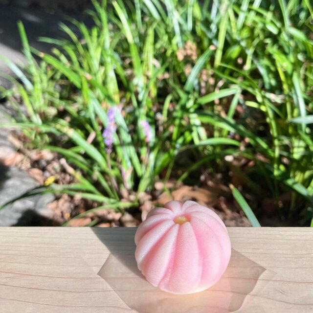 #15 芝公園に住みたくなる50枚 1080